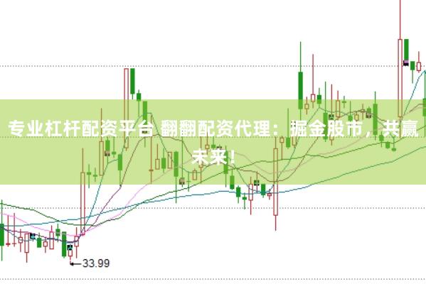专业杠杆配资平台 翻翻配资代理：掘金股市，共赢未来！