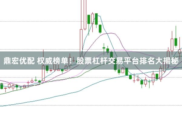 鼎宏优配 权威榜单！股票杠杆交易平台排名大揭秘