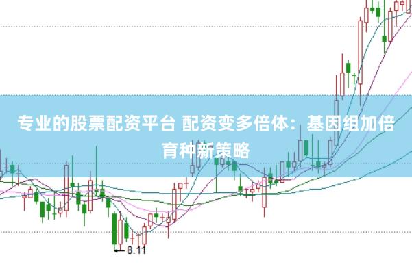 专业的股票配资平台 配资变多倍体：基因组加倍育种新策略