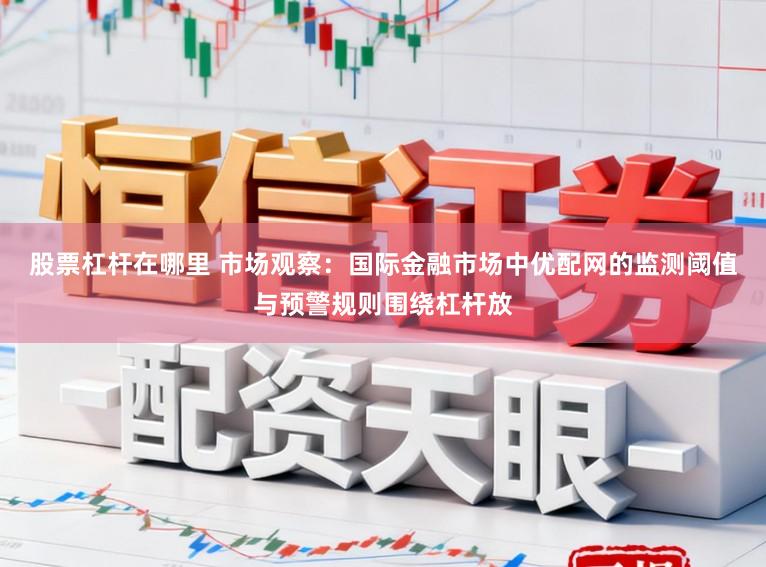 股票杠杆在哪里 市场观察：国际金融市场中优配网的监测阈值与预警规则围绕杠杆放